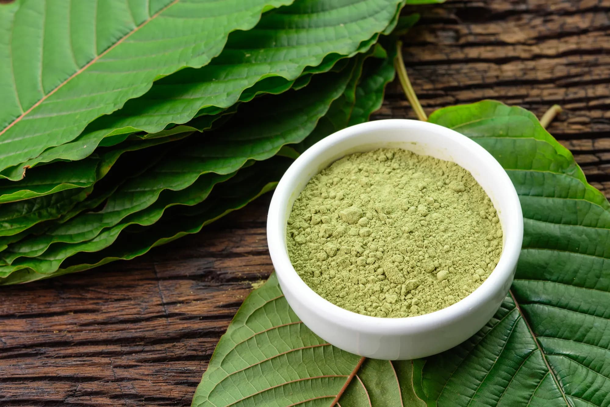 Kratom Cafe Chiang Mai: Sip, Chill, and Connect