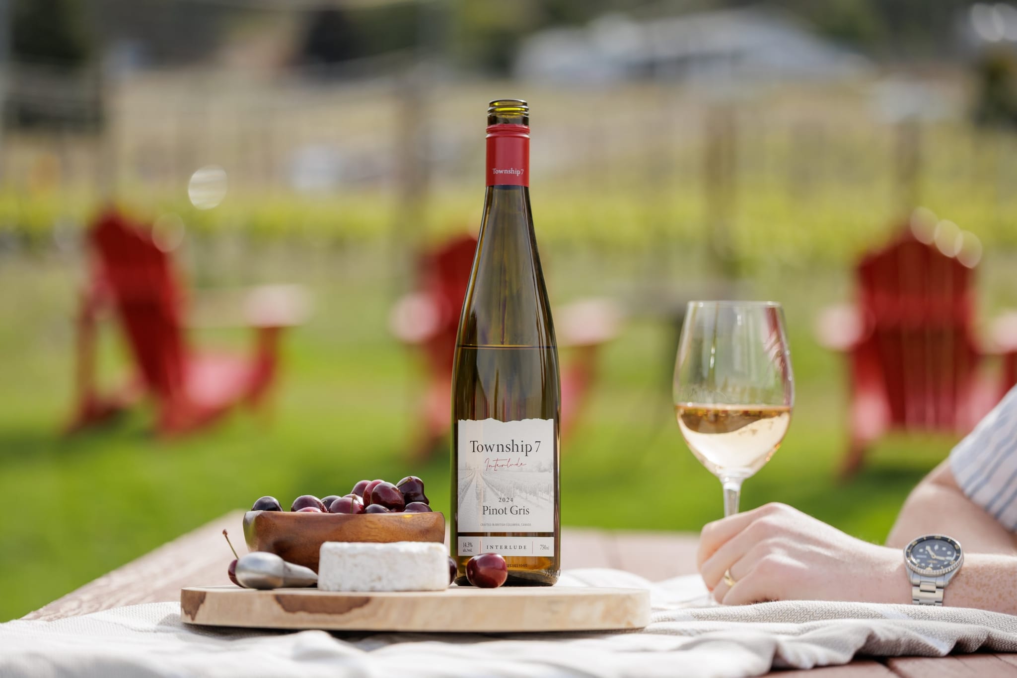 Luxury Winery Tour Limousine Packages for VIP Wine Experiences