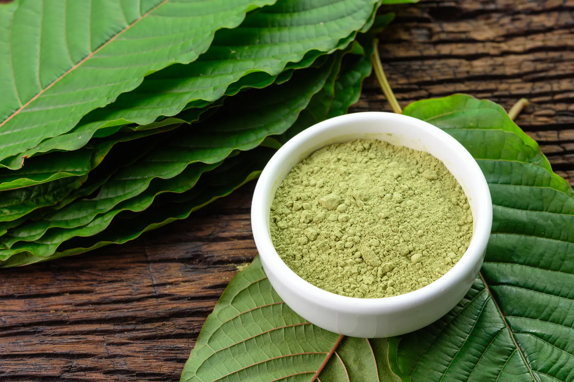 Kratom Cafe Chiang Mai: Sip, Chill, and Connect