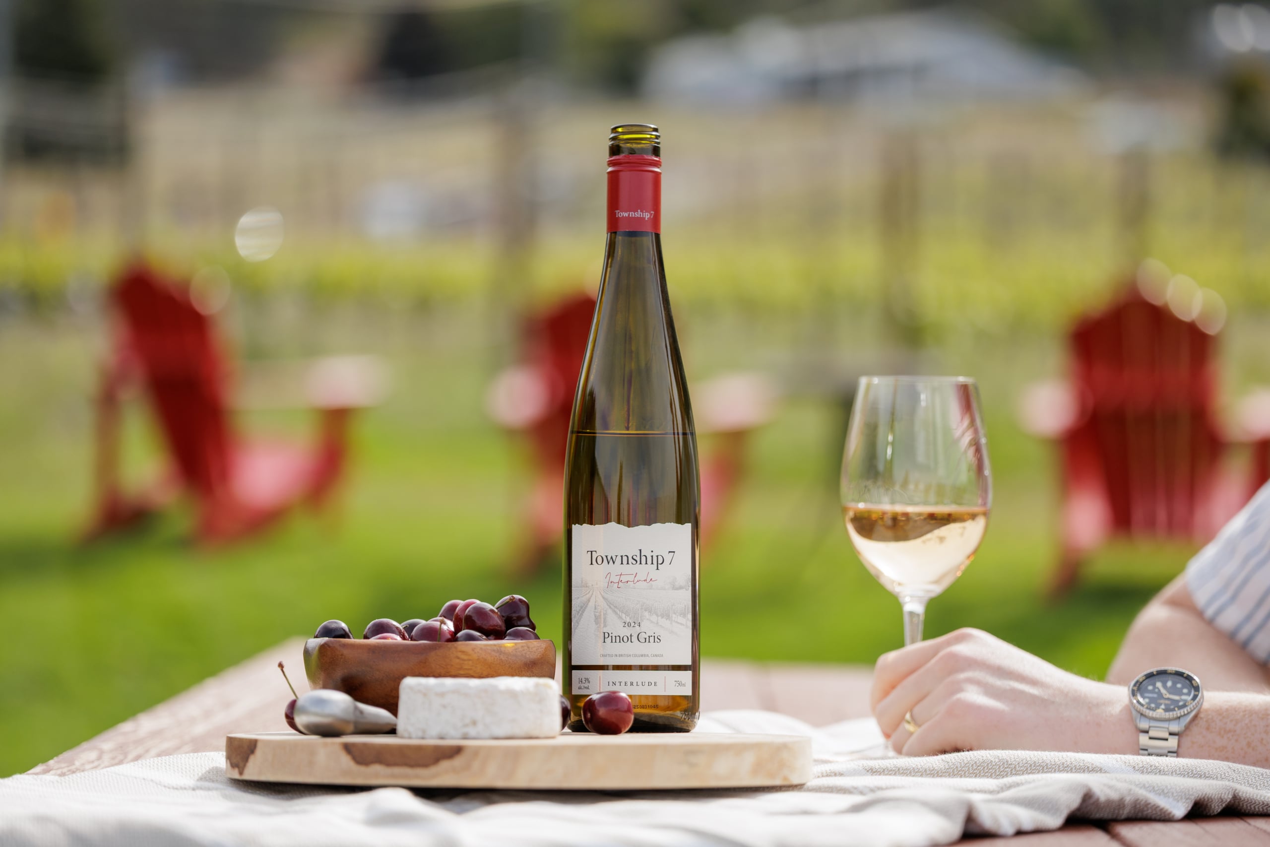 Luxury Winery Tour Limousine Packages for VIP Wine Experiences
