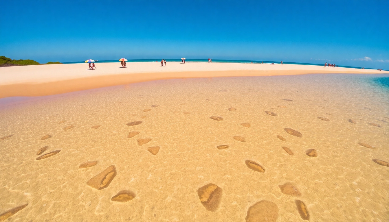 Linda vista da praia de Paripueira AL, com águas claras e areias douradas.